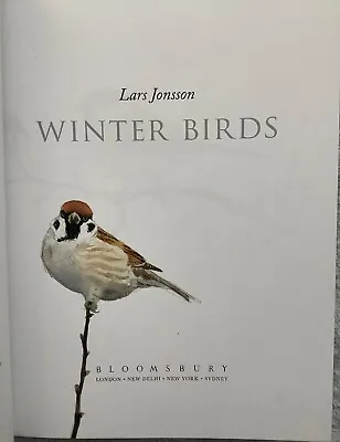 Winter Birds By Lars Jonsson . Beautifully Illustrated! • £20