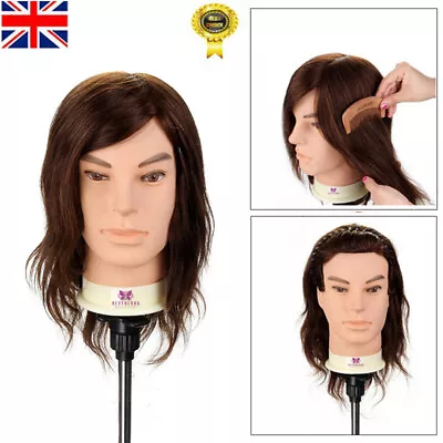 Men's Training Head 12  100% Real Human Hair Cutting Hairdressing Mannequin Doll • £25.99