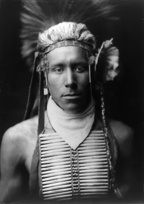 £4.20 • Buy Edward Curtis, Little Daylight Native American Indian Photo Print Poster A4