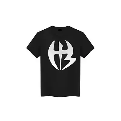 Hardy Boyz WWF WWE Logo Tee Shirt • $20