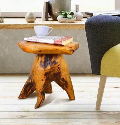 Unique Shape Tree Stump Stool Wooden Side Table Plant Stand，14.5  H • $58.99