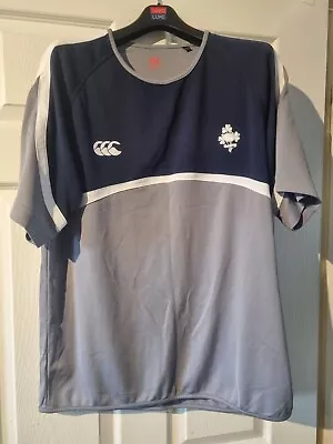 Canterbury Of New Zealand Mens Grey And Blue Tshirt Size L • £6