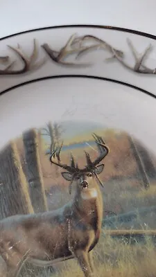 BASS PRO SHOPS OLD MOSSY HORNS Whitetail Buck DEER SALAD PLATES 7 1/2  GC • $14.99