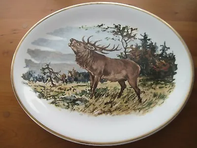  Alfred Meakin * Liverpool Road Pottery *MOOSE Call Platter *Gold Trim * ENGLAND • $35