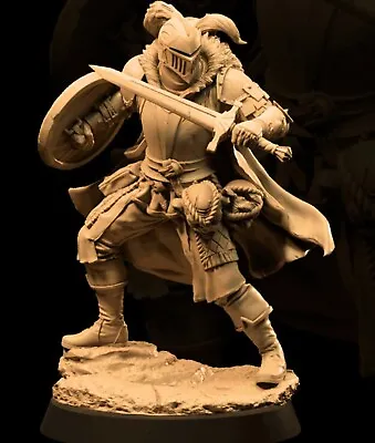 Knight Paladin | Pathfinder | Fantasy | Mini | RPG | DnD Tabletop | Miniature! • $6.65