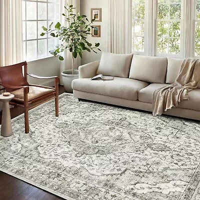 Machine Washable Boho Rug Area Entryway Low Pile Carpet Non-Slip Door Mat 2x3ft • $105