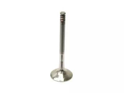 Exhaust Valve For 1997-2004 VW Jetta 1.9L 4 Cyl ALH 2003 2002 2001 1998 GF424BR • $23.99