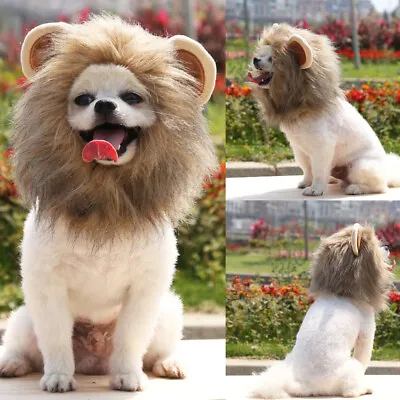 £5.19 • Buy Pet Dog Cat Hat Costume Lion Mane Wig Halloween Dress Up Cosplay Party Decor