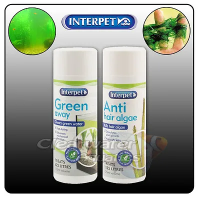 £7.99 • Buy Interpet ANTI HAIR ALGAE Green Water AQUARIUM Treatment Fish Tank Stringy Beard