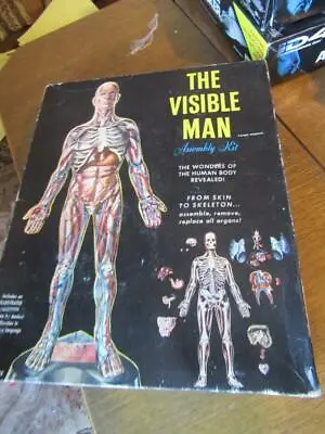 The Visible Man 15” Tall Vintage Model From Renwal Model Kit Very Clean • $34.99