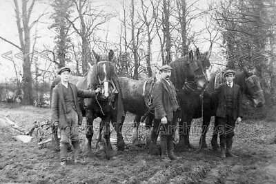 Abb-98 Farm Horse & Plough With Labourer Mildenhall Suffolk. Photo • £3.35