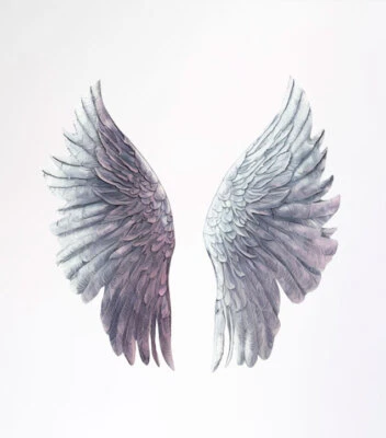£3.99 • Buy Angel Wings Wall Art Colourful Vinyl Sticker Decals Z058