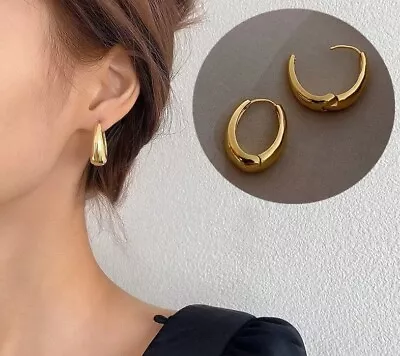 Fashion Metal Drop Earrings For Woman Vintage Hoop Earring Trend Classic  Gold • $0.01