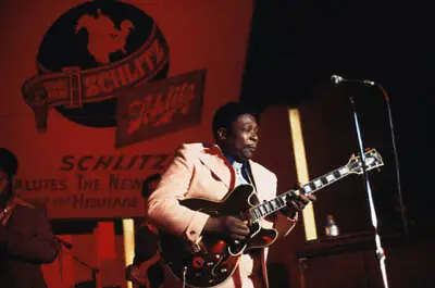 Bb King Performs Live On Stage Playing A Gibson Es-355 Old Photo • $9