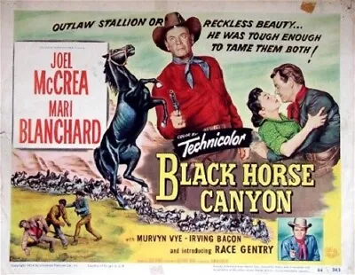 Black Horse Canyon Starring Joel McCrae Mari Blanchard Race Gentry • £3.50