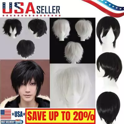 Men Male Short Full Wigs Boys Anime Cosplay Costume Party Synthetic Hair Wig Cos • $2.99