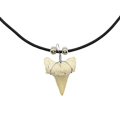 Shark Tooth Necklace For Men Teens Kids - Genuine Shark Tooth Pendant • $11.95