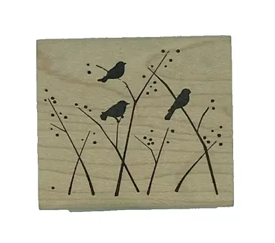 Thicket Birds Wood Mounted Rubber Stamp Memory Box D1118 Nature Birds • $4.49