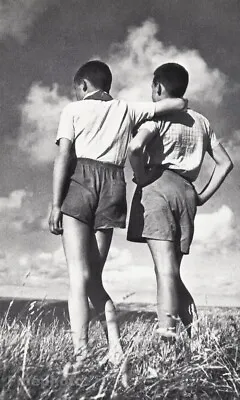 1960 Vintage French Boys Outdoors Friends Summer Shorts Shirts JOS LE DOAR Photo • $112.23