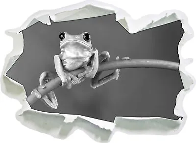 Tree Frog On Bamboo Art B&W - 3D Look Paper Wall Tattoo Sticker Sticker • £17.20