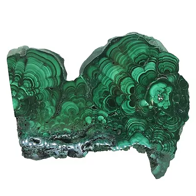 Malachite Polished Slab Specimen Display Mineral Green #R-2983 • $134