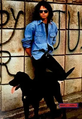 Jim Morrison With Black Dog On Wall Labrador Graffiti The Doors Poster 23.5 X 33 • $19.45