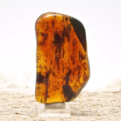 Fully Polished Mexican Amber 63 G • $315
