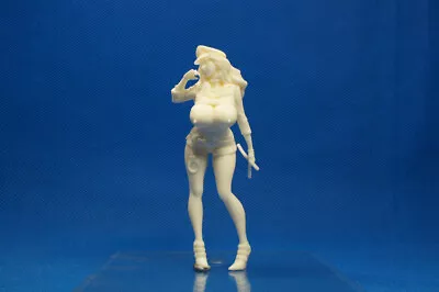 $11.30 • Buy Resin Kit 458 1/20 Nightstick / BITCH POLICE
