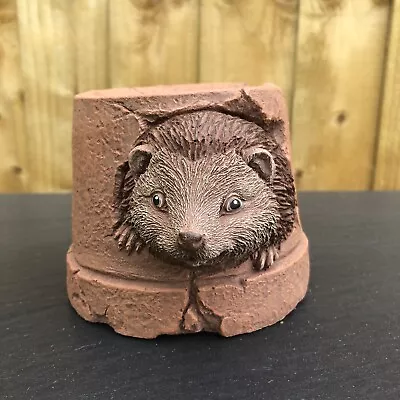 Hedgehog Hiding In A Pot - Painted Stone Garden Ornament - Hedgehog91 • £16