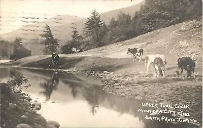 UPPER TRAIL CREEK COWS Real Photo Postcard Rppc MICHIGAN CITY INDIANA IN C1910 • $10