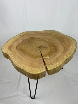 £139 • Buy Live Edge Cookie Tree Slice Slab Round English Leylandii Modern Coffee Table