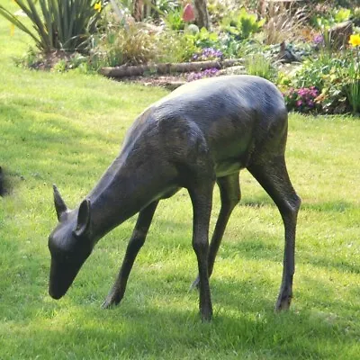 Wild Doe Life-Size 85cm Bronze Metal Garden Statue • £949.99