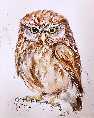 Owl Watercolor Original Painting Bird Owl • $57