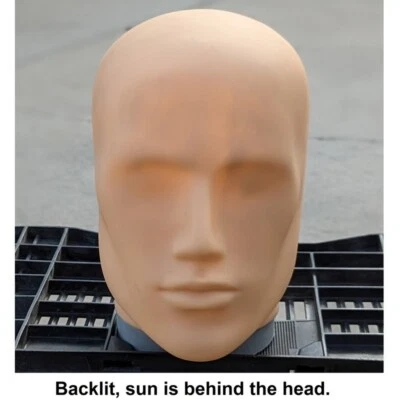 $21.85 • Buy LESS THAN PERFECT MN-E2 SKINTONE Plastic Male Abstract Mannequin Head Attachment
