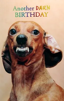 Simple & Funny BIRTHDAY Card Dachshund Dog Growl By Premium Greetings +Envelope • $4.49