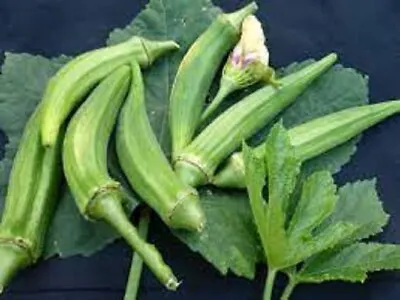 Premium Okra - Clemson Spineless Organic Heirloom - Most Popular Okra Variety! • $1.99