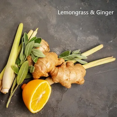 $19.25 • Buy PREMIUM HIGHLY SCENTED REED DIFFUSER REFILLS - Lemongrass & Ginger Fragrance