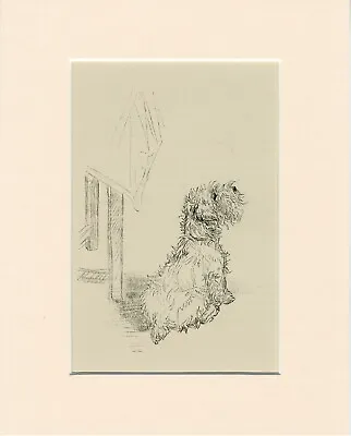 SEALYHAM TERRIER LOVELY VINTAGE 1939 DOG ART PRINT By  K F BARKER READY MOUNTED • £7.99