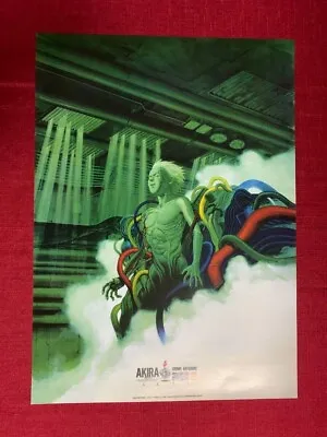 Japanese Anime AKIRA Original Poster B2 Tetsuo Supreme From Japan • $203.43