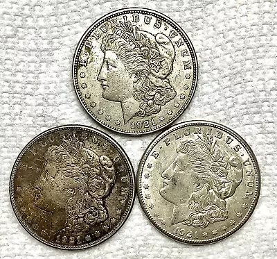 Lot Three (3) 1921 Morgan Silver Dollars: P D S All 3 XF Detail Light Cleaned • $82.75