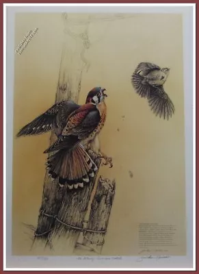 The Getaway-American Kestrel By Michael Dumas • $120