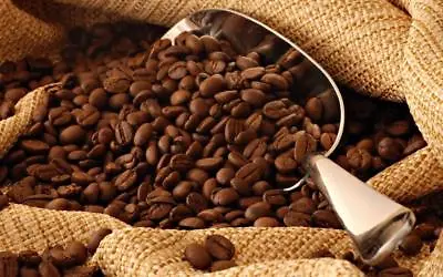 £1.20 • Buy Drum Roasted Fresh Honduras Origin Coffee Whole Bean / Ground 100% ARABICA Blend