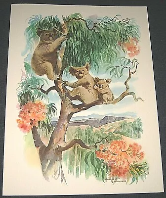 Vintage 1960 Matson Lines S.S. Monterey Dinner Menu--Australia Koala Cover Art • $9.95