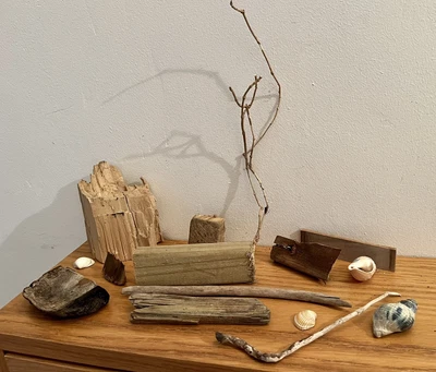 £4.99 • Buy DRIFTWOOD & SHELL JOB LOT  Sea Beach Art Craft Sculpture Coastal Model Village