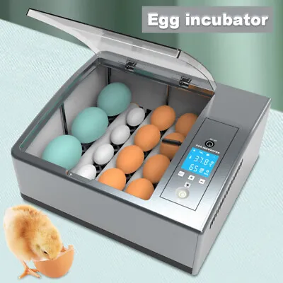 16 Egg Incubator Automatic Smart Household Mini Chicken Egg Incubator Box • $46.55