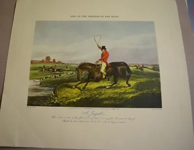 One Of The Flowers Of Our Hunt A Jonquill H Alken Hunting Print • £7.99
