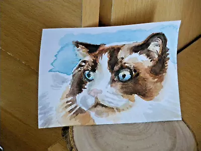 Rag Doll Cat Art Card ACEO Watercolour Original M Howe Artcard Painting • £3.99