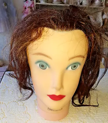 Hairart Cosmetology Training Styling Head Human Hair Mannequin  • $12