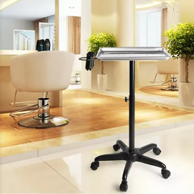 Mobile Rolling Mayo Stand Trolley Medical Instrument W/ Removable Tray& Base Hot • $50.35