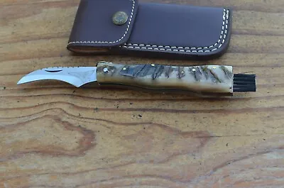 Custom Made Mushroom Stainless Steel Knife From The Eagle Collection MU9054 • $34.99